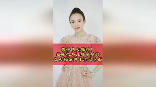 狗仔爆料汪峰章子怡视频,娱乐圈再掀波澜 第2张 狗仔爆料汪峰章子怡视频,娱乐圈再掀波澜 第2张