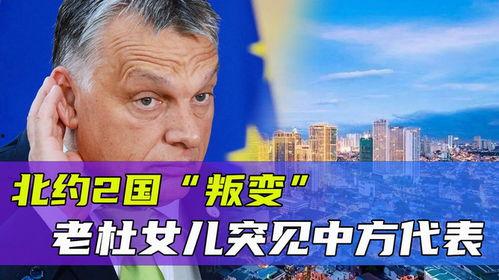 老杜爆料最新消息,最新热点事件内幕大揭秘! 第2张 老杜爆料最新消息,最新热点事件内幕大揭秘! 第2张