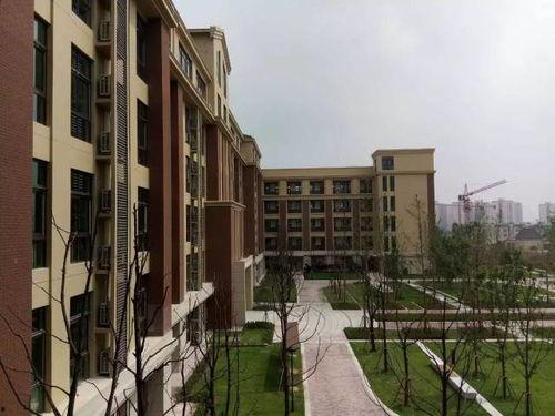 巴南学校爆料视频最新,揭秘校园内幕，真相令人震惊！