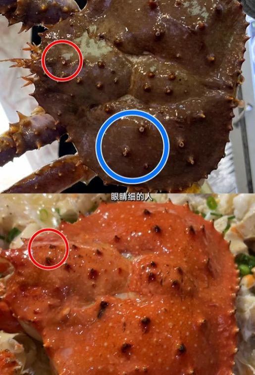 粉丝爆料海鲜视频大全集,海鲜视频大全集,美味瞬间尽收眼底 第3张 粉丝爆料海鲜视频大全集,海鲜视频大全集,美味瞬间尽收眼底 第3张