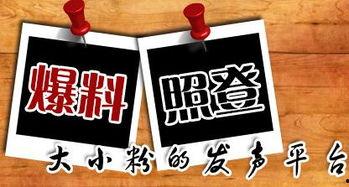 济南新闻爆料平台,聚焦城市热点，解码民生故事