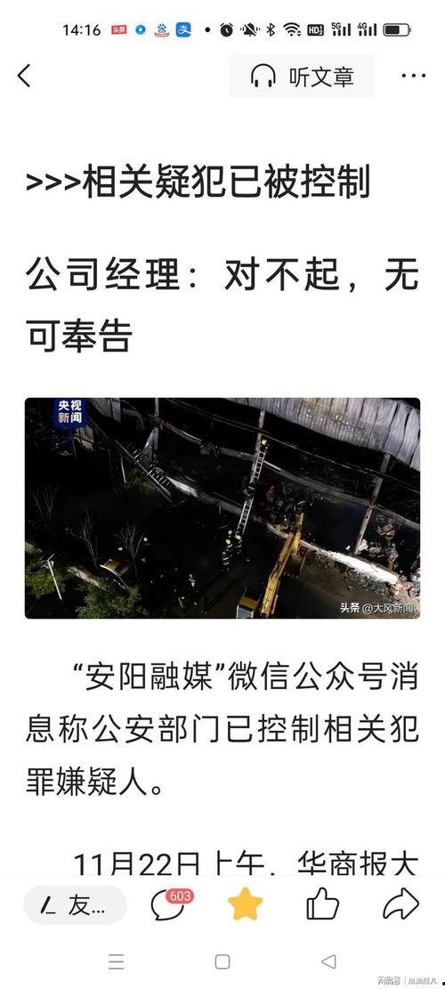 焦家金矿爆料视频播放时间,揭秘矿场神秘时刻 第3张 焦家金矿爆料视频播放时间,揭秘矿场神秘时刻 第3张