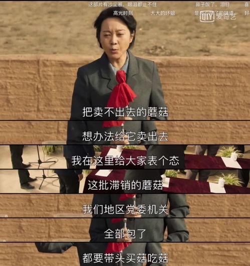山海情最新爆料,揭秘神秘古墓，探寻千年之谜  第3张