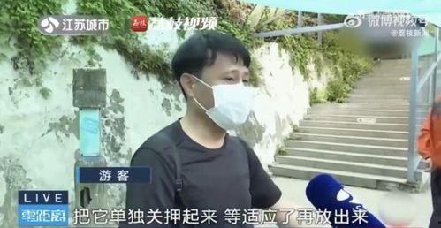 网红霸凌吃瓜男,吃瓜男生无辜卷入网络暴力漩涡 第1张 网红霸凌吃瓜男,吃瓜男生无辜卷入网络暴力漩涡 第1张