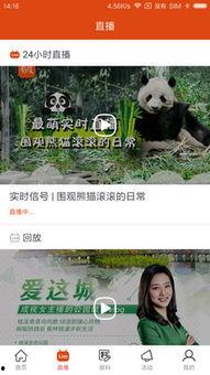 有新闻视频了怎么爆料,揭秘事件真相,带你直击新闻现场 第1张 有新闻视频了怎么爆料,揭秘事件真相,带你直击新闻现场 第1张