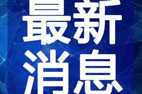 近期视频爆料最新新闻内容,近期热点新闻事件深度解析