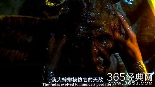 撕裂人2在线观看,狂潮再起,惊悚续集在线惊悚来袭 第2张 撕裂人2在线观看,狂潮再起,惊悚续集在线惊悚来袭 第2张