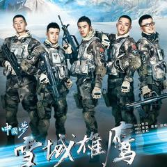雪域雄鹰在线观看全集,探寻高原传奇,共赴英雄征程 第2张 雪域雄鹰在线观看全集,探寻高原传奇,共赴英雄征程 第2张