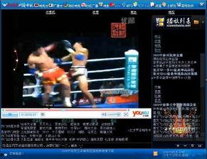 飞鸟比赛爆料视频下载,精彩瞬间与幕后故事 第3张 飞鸟比赛爆料视频下载,精彩瞬间与幕后故事 第3张