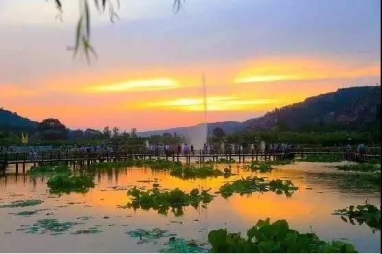 庆阳爆料风景视频大全下载,揭秘庆阳爆料风景视频大全  第3张