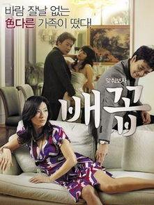 韩国脐在线观看,揭秘神秘东方文化之美  第2张