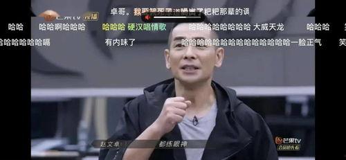 四哥爆料浩子视频,浩子视频背后的精彩故事 第2张 四哥爆料浩子视频,浩子视频背后的精彩故事 第2张