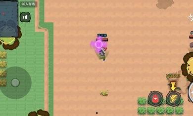 吃鸡宠物爆料大全下载最新,揭秘最新宠物玩法与养成攻略  第2张