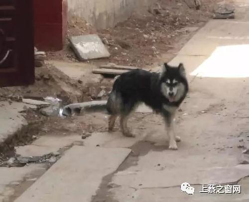 牛马商店爆料视频,揭秘神秘视频背后的惊人真相 第3张 牛马商店爆料视频,揭秘神秘视频背后的惊人真相 第3张