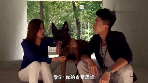 警犬巴打全集在线观看,忠诚守护,智慧追踪 第2张 警犬巴打全集在线观看,忠诚守护,智慧追踪 第2张