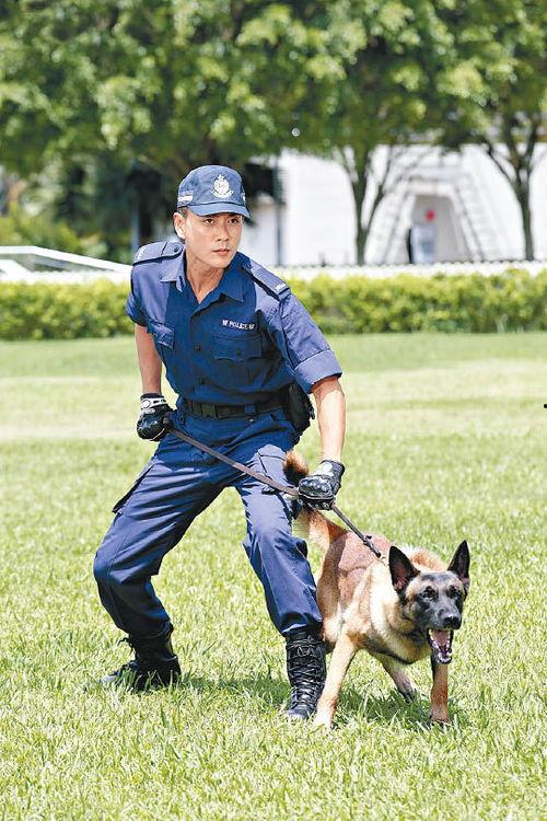 警犬巴打全集在线观看,忠诚守护,智慧追踪 第3张 警犬巴打全集在线观看,忠诚守护,智慧追踪 第3张