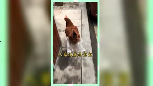 娱乐至死的吃瓜群众,揭秘吃瓜群众的狂欢世界 第2张 娱乐至死的吃瓜群众,揭秘吃瓜群众的狂欢世界 第2张