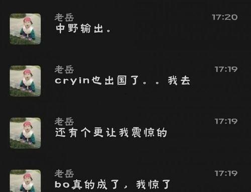 老岳爆料小虎视频播放,小虎视频播放背后的惊人真相 第2张 老岳爆料小虎视频播放,小虎视频播放背后的惊人真相 第2张