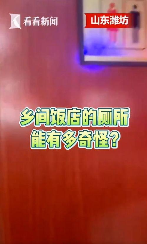山东饭店爆料视频最新一期,揭秘幕后真相与惊人内幕