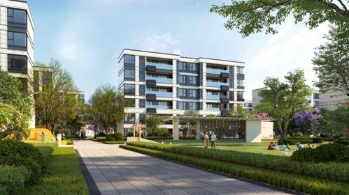 盐城圣桦最新爆料,揭秘项目背后的惊人真相  第3张