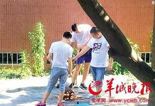 汕头记者爆料新闻最新,最新民生热点事件追踪 第3张 汕头记者爆料新闻最新,最新民生热点事件追踪 第3张