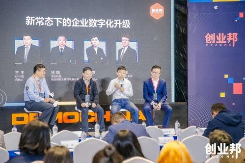 真面目阿飞技能爆料视频,全新爆料视频深度解析