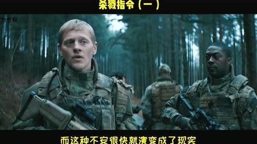 杀戮指令在线观看,在线惊悚之旅，揭秘生死边缘的极限挑战  第2张