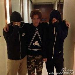 老高家世爆料视频,传承与荣耀的世系揭秘  第1张