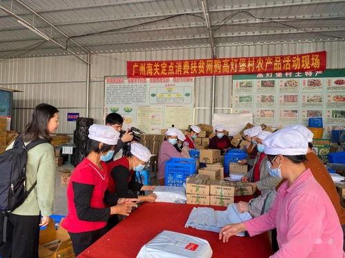 高州电视台新闻爆料  第2张