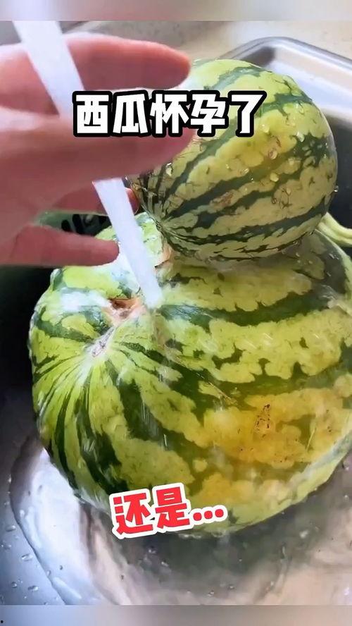 吃瓜搞笑声音大全下载免费,欢乐无限