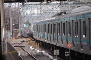 日本电车事件最新爆料,揭秘背后惊人真相