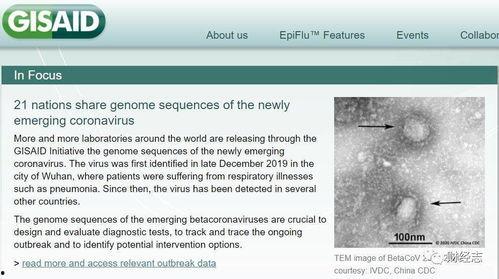 爆料美国病毒最新消息,疫情反弹与防控措施再升级! 第2张 爆料美国病毒最新消息,疫情反弹与防控措施再升级! 第2张