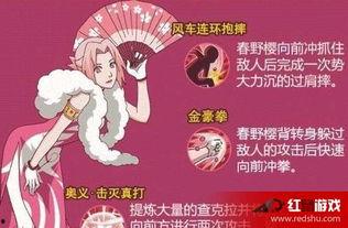 新春小樱大厅爆料视频,精彩内容抢先看