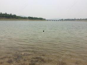 东风水库爆料视频大全最新,揭秘水库神秘面纱 第1张 东风水库爆料视频大全最新,揭秘水库神秘面纱 第1张