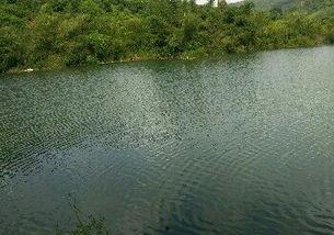 东风水库爆料视频大全最新,揭秘水库神秘面纱 第2张 东风水库爆料视频大全最新,揭秘水库神秘面纱 第2张