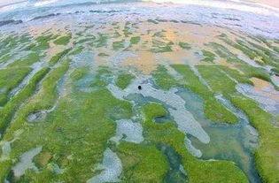 昌江新闻爆料最新消息,重大事件引发社会关注！