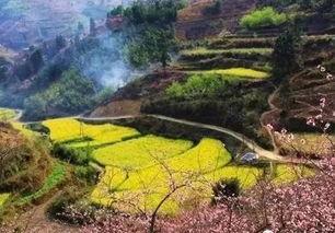 昌江新闻爆料最新消息,重大事件引发社会关注! 第3张 昌江新闻爆料最新消息,重大事件引发社会关注! 第3张